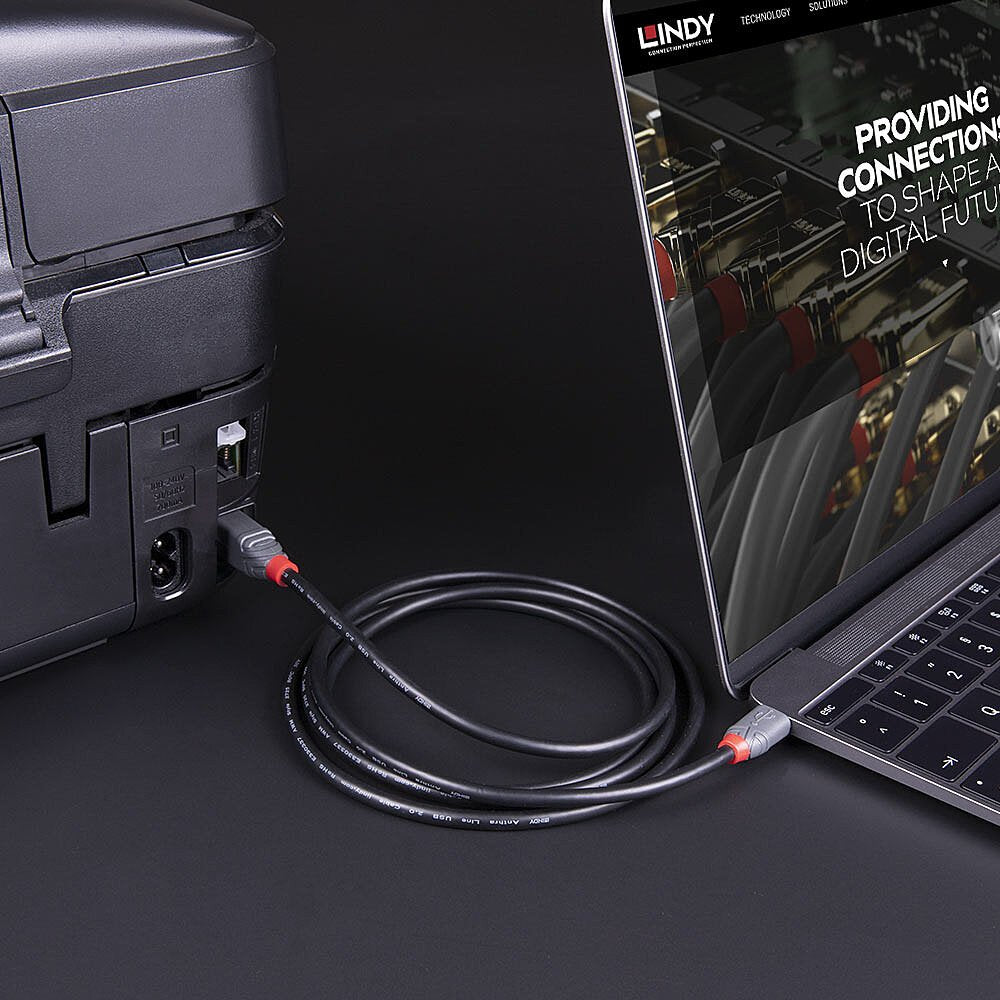 Cable Lindy 36665 Usb Usb 3.2 Gen 1 (3.1 Gen 1) 0,5 M Usb C Usb B Negro