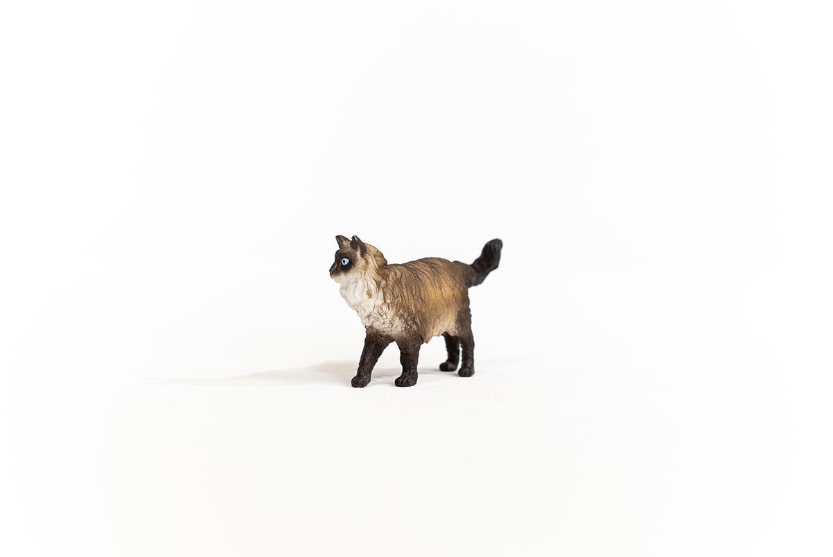 Schleich Gato Ragdoll Farm World 13940