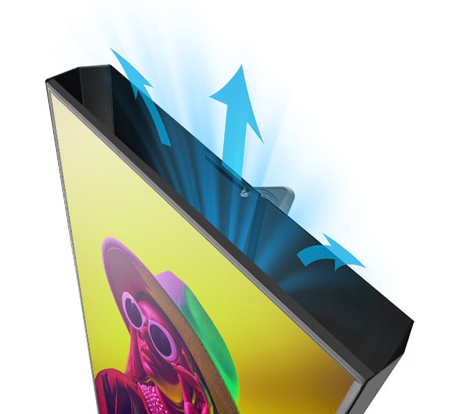 Adjustable Rear Screen Cover For 55" Displays