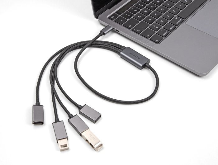 Delock 64210 Hub 4-Port Usb 2.0 Cable Usb-C 60cm