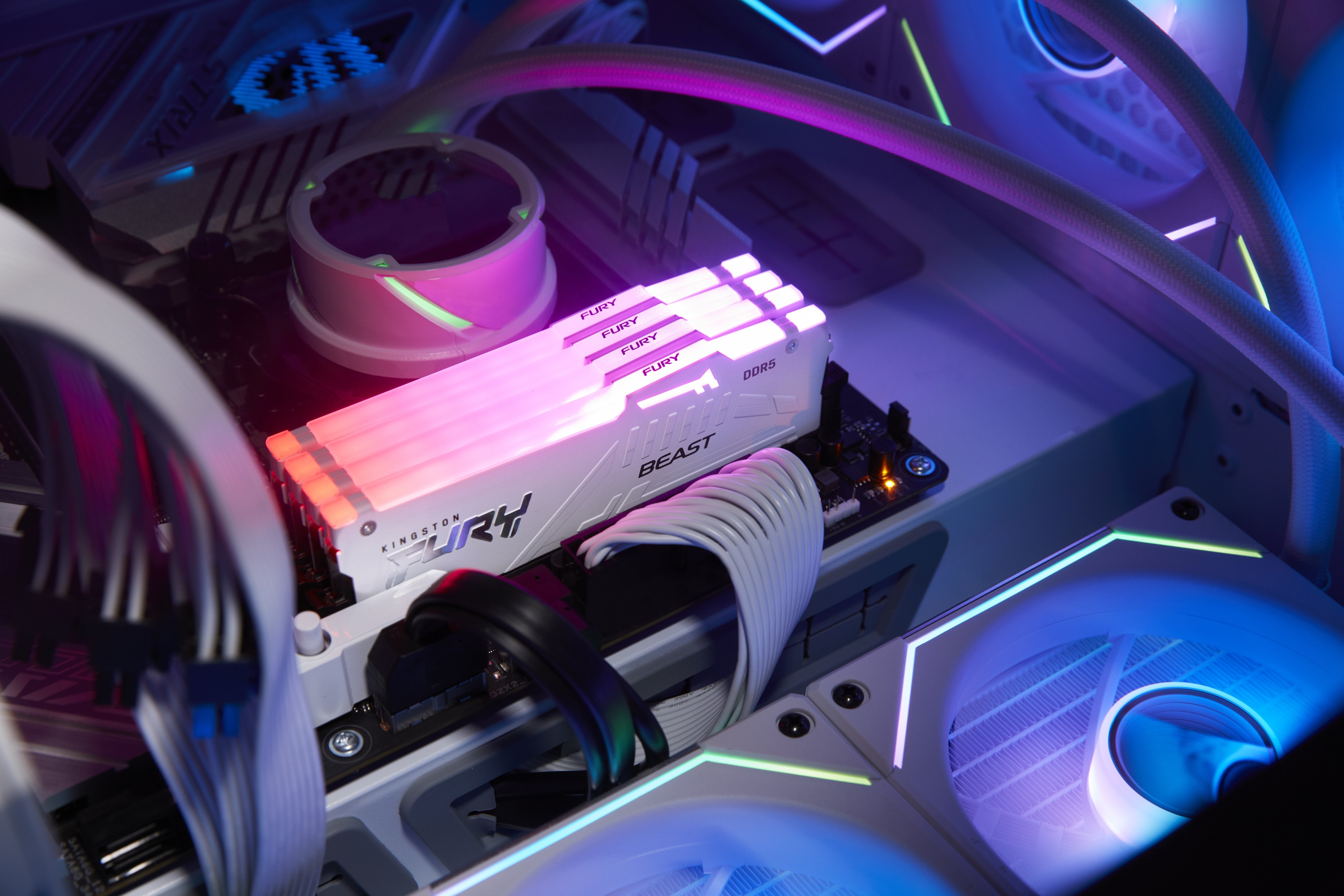 Memoria Kingston Fury Beast 16gb Ddr5 5600, Blanca Rgb, Intel Xmp Kf556c40bwa-16