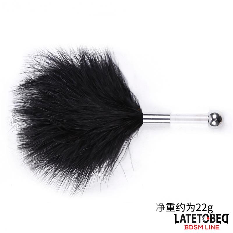 Estimulador De Plumas Con Mango De Metal