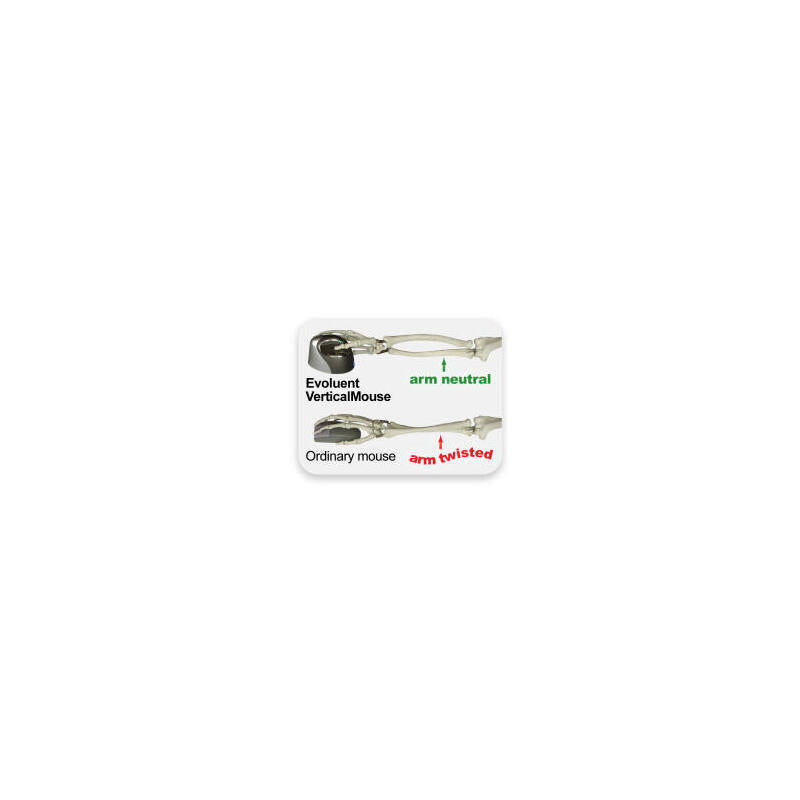 Evoluent Raton Verticalmouse Usb Retail Bneevr4s