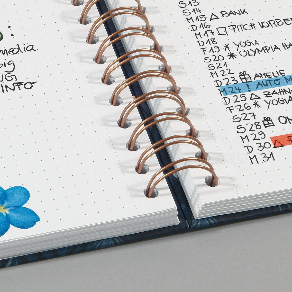 Sigel Jolie - Cuaderno - Drahtkammgebunden - A5 (162 X 215 Mm)