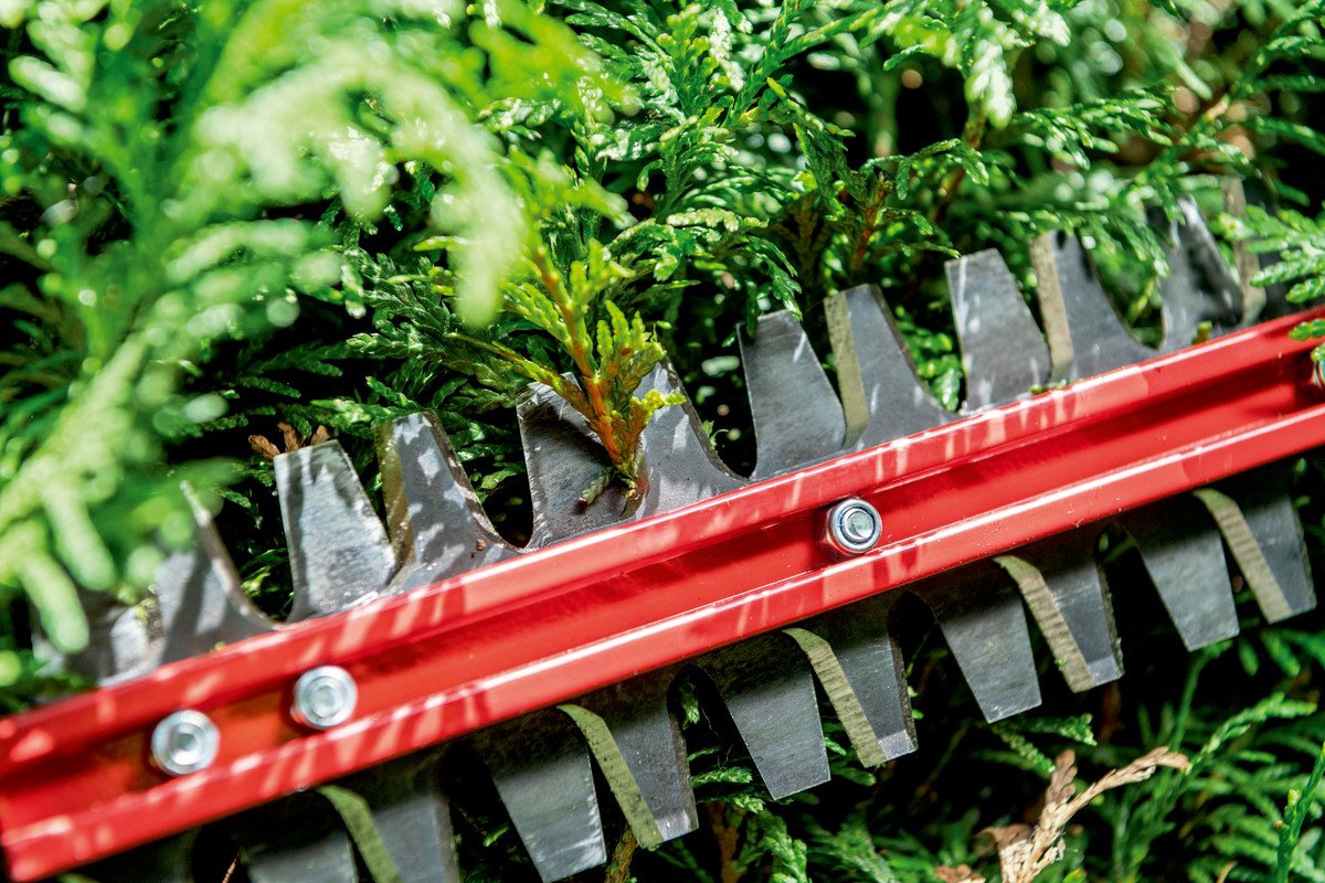 Metabo Hs 18 Ltx Bl 65 Cortasetos A Batería