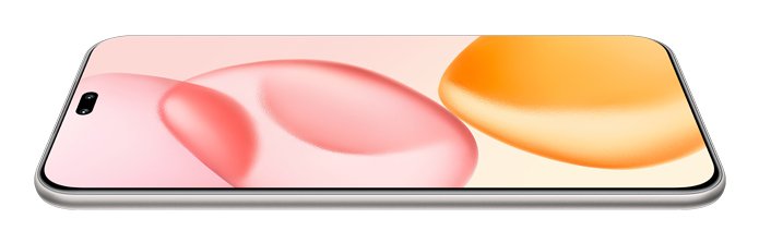 EAN 6936520867530 - Honor 400 Pro 17 cm (6.7") MagicOS 9.0 5G 12 GB 512 GB 5300 mAh Gris imagen 4