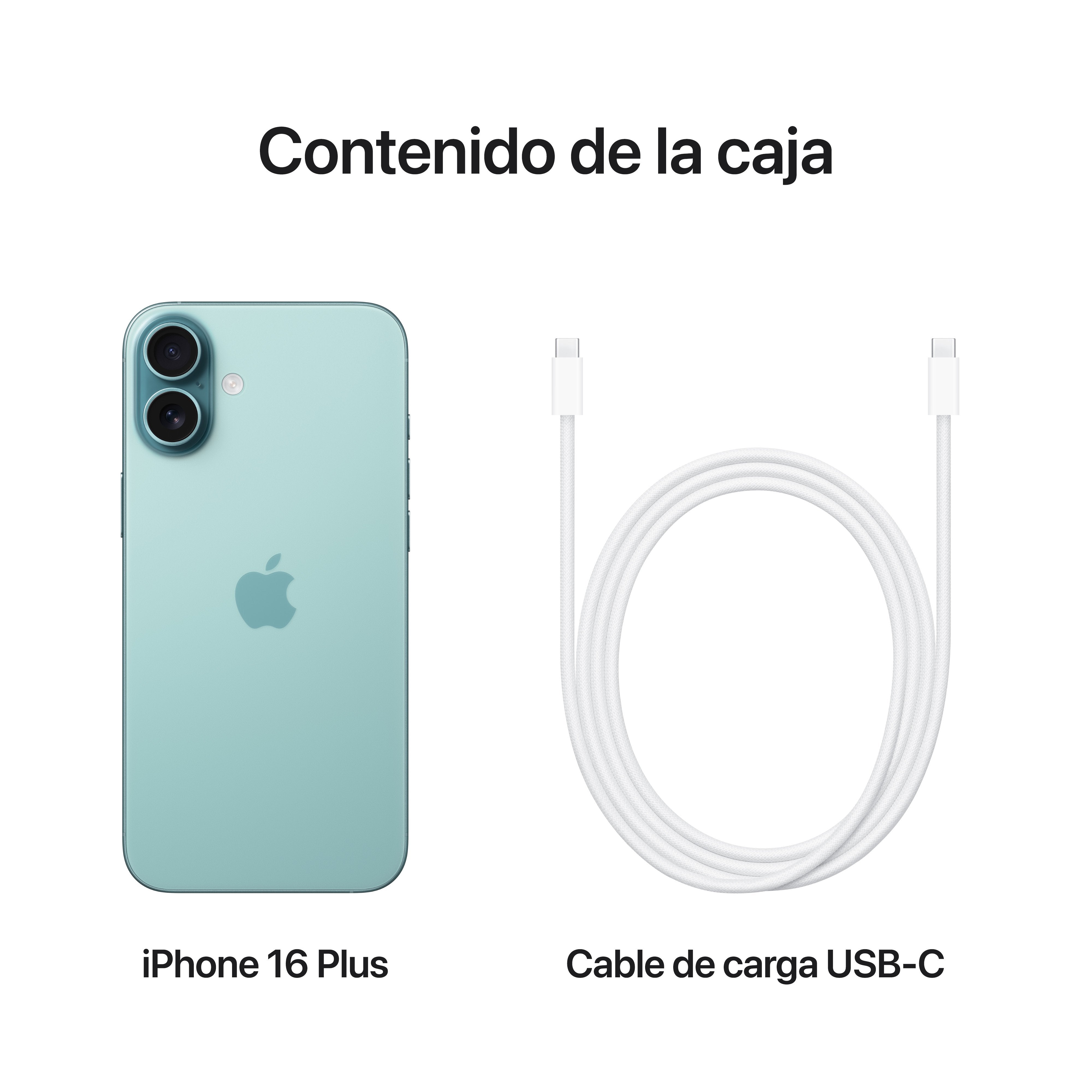 EAN 0195949723902 - Apple iPhone 16 Plus 17 cm (6.7") SIM doble iOS 18 5G USB Tipo C 256 GB Verde azulado imagen 9