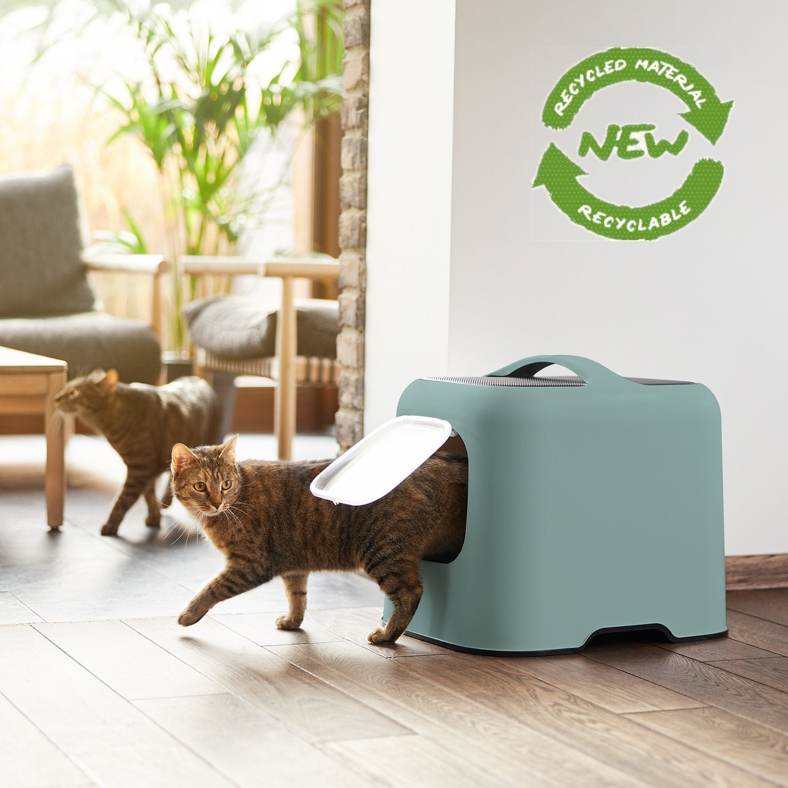 EAN 7610859245052 - Rotho BIALA Gato Caja de arena con cubierta Verde imagen 2