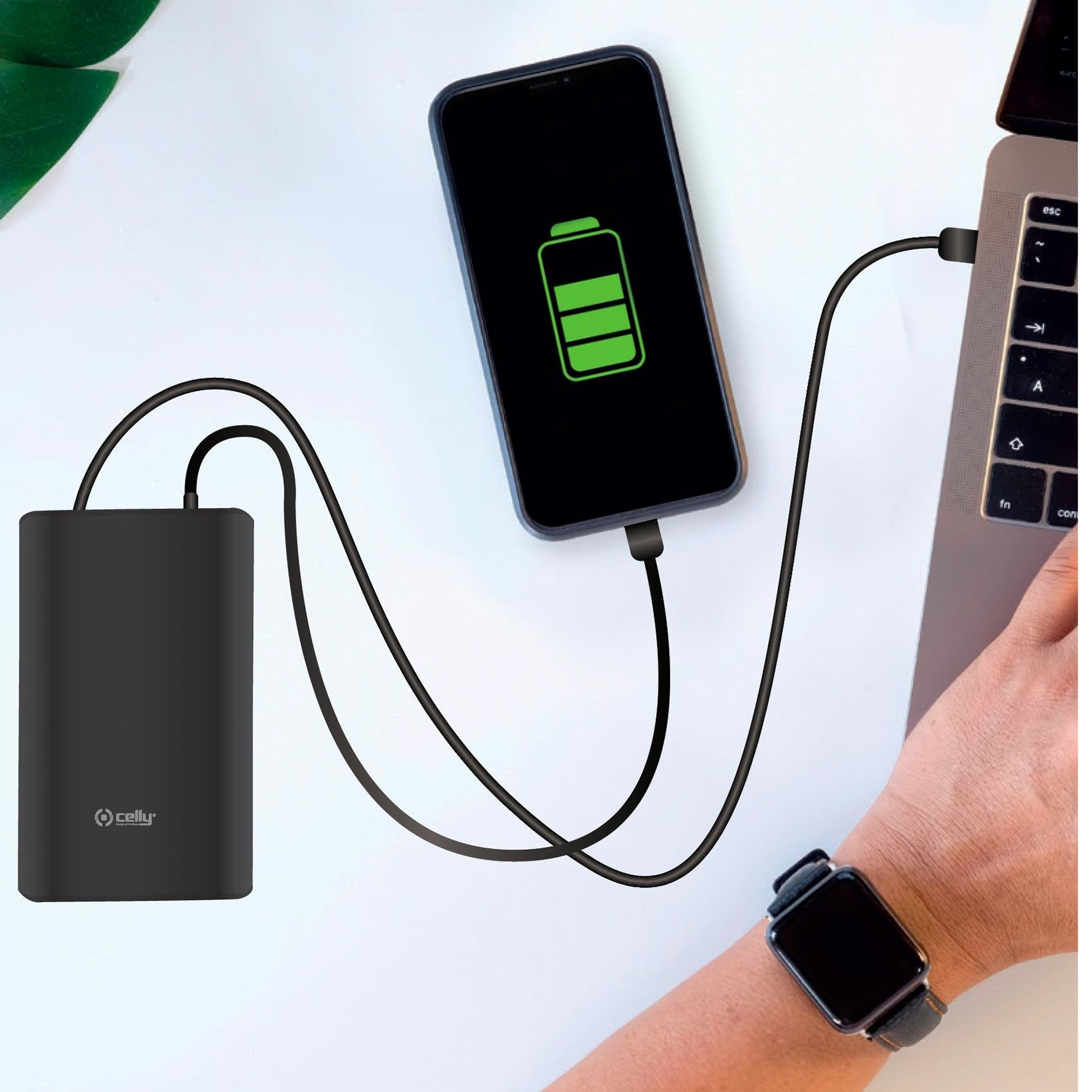 Power Bank Celly Pbpd45w15000bk Batería Externa 15000 Mah Negro