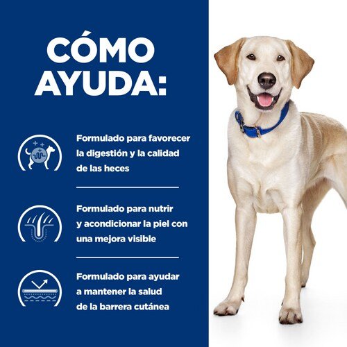 EAN 0052742041728 - Hills 605841 alimento húmedo para perros Ternera Universal 4 kg imagen 3