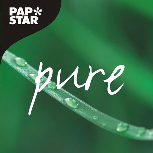 Papstar Zahnstocher Pure Marrón