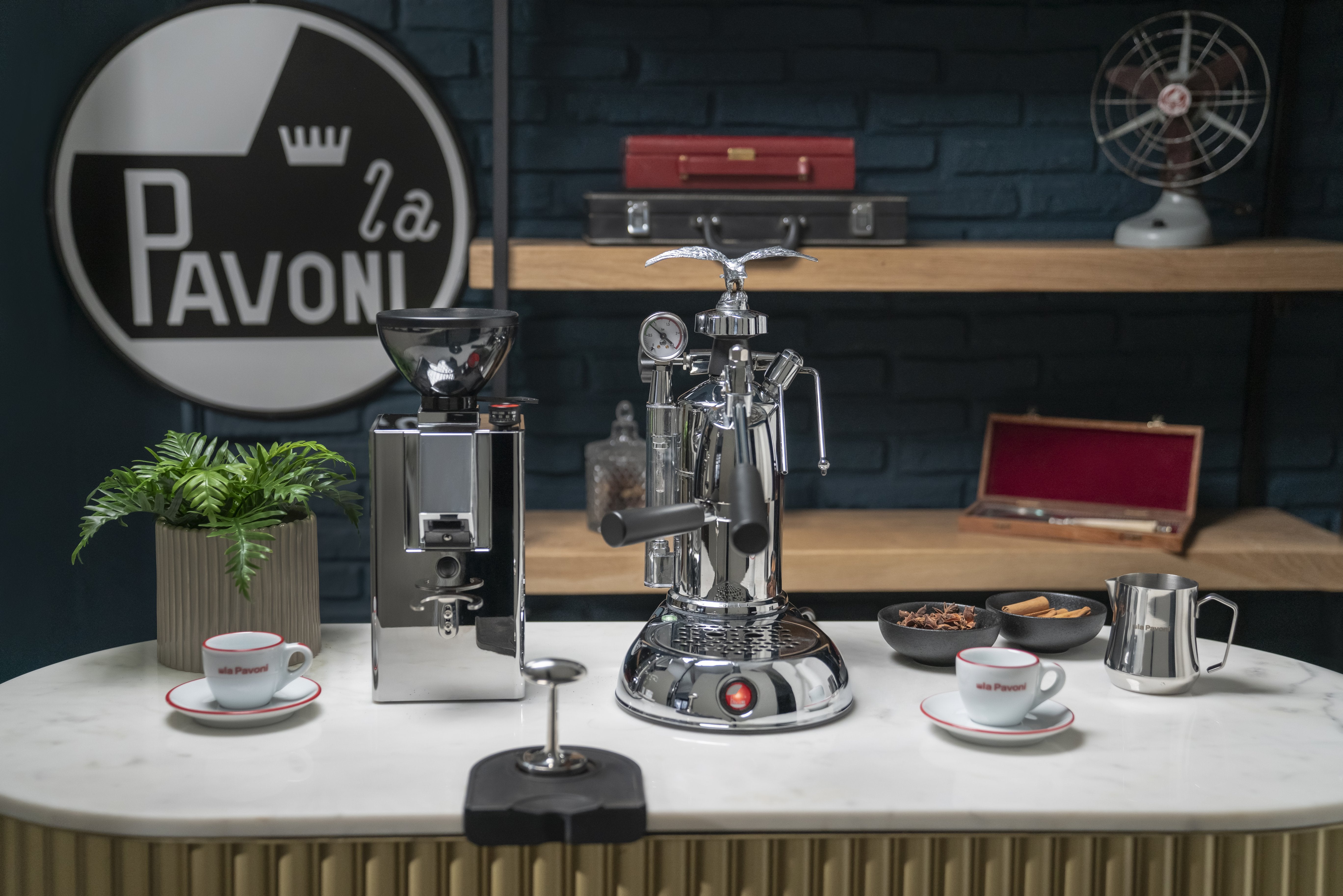 EAN 8010072258584 - la Pavoni LPLMLN01EU cafetera eléctrica Manual 1,6 L imagen 4