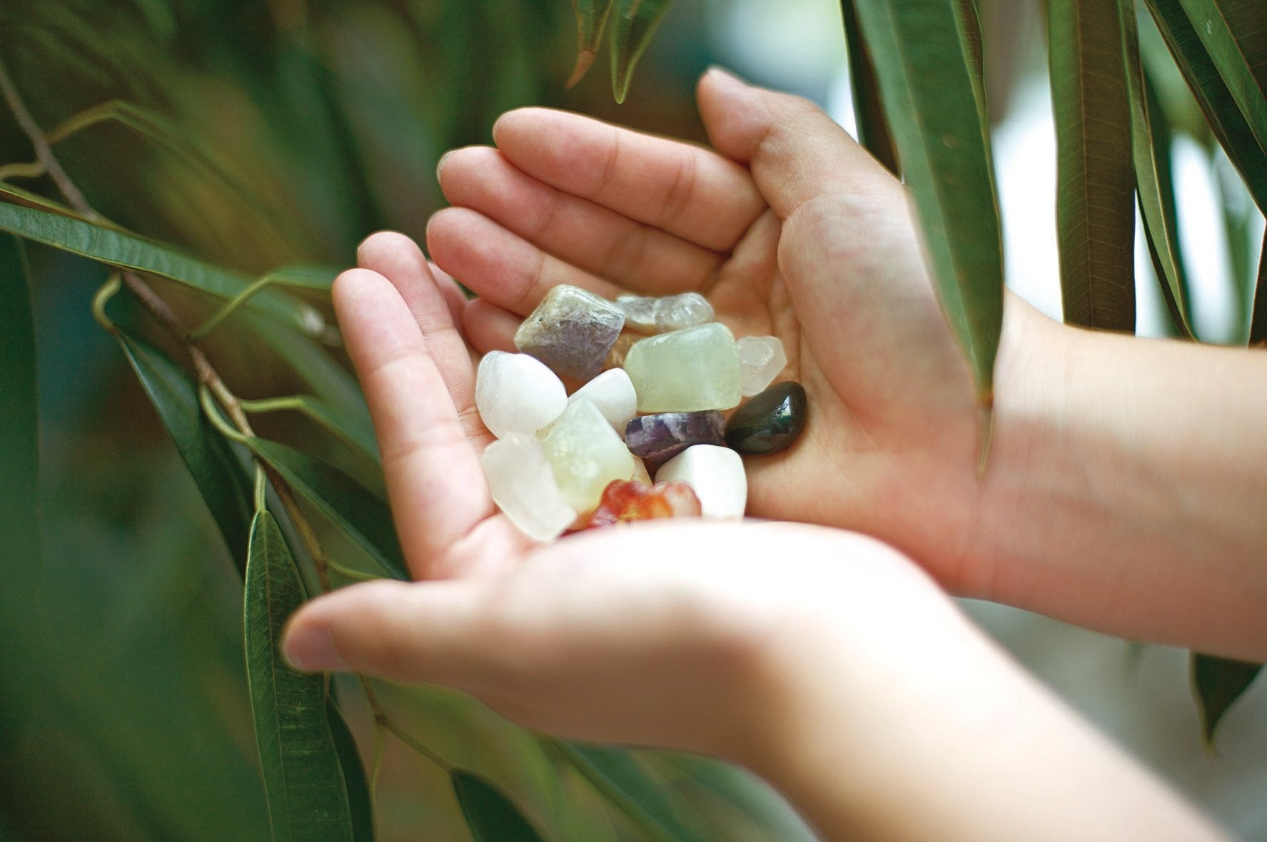 EAN 4893156032485 - DAM 5603252 compuesto para cerámica y modelaje 600 g Multicolor imagen 3