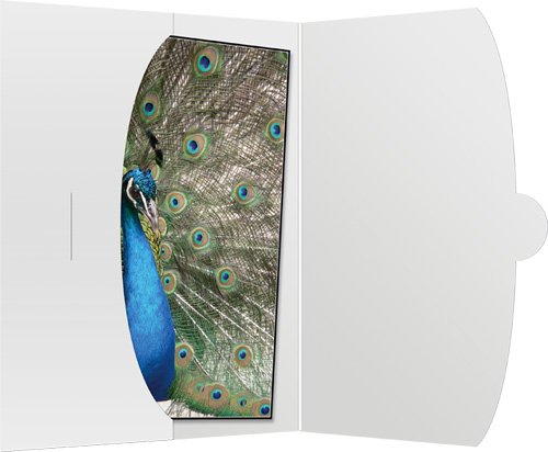 EAN 4019518020581 - Daiber 09021 marco Blanco imagen 1