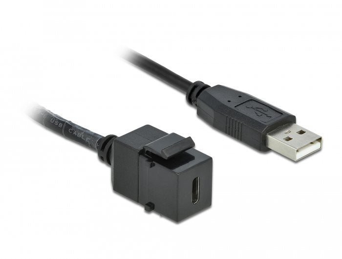 Delock Keystone Modul Usb 2.0 C Buchse > Usb 2.0 A Stecker Mit Cable