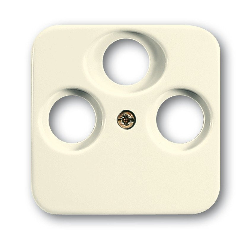 EAN 4011395537206 - Busch-Jaeger 1724-0-1747 placa de pared y cubierta de interruptor Beige imagen 1