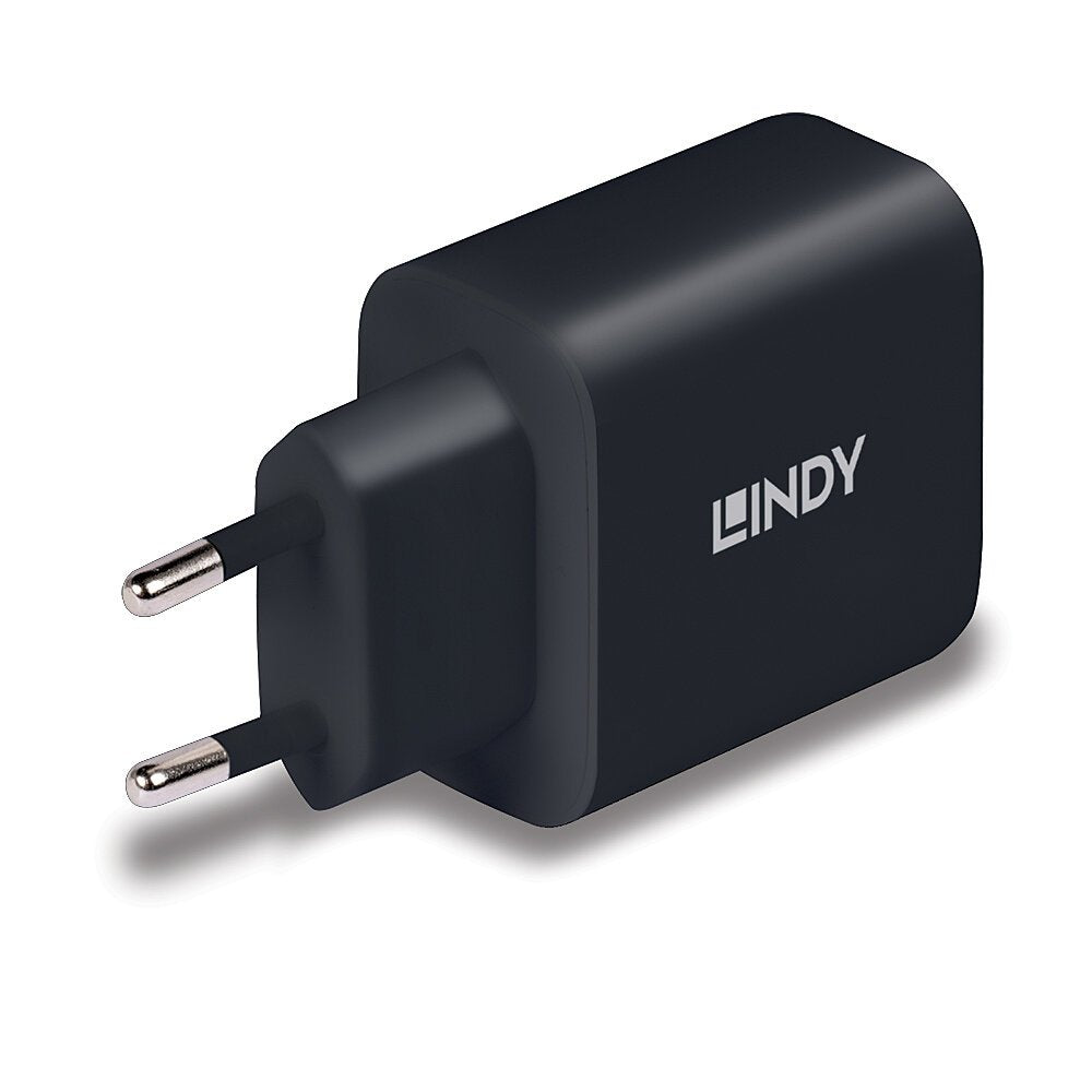 Cargador Lindy Usb Typ C Gan Charger 65w, Negro