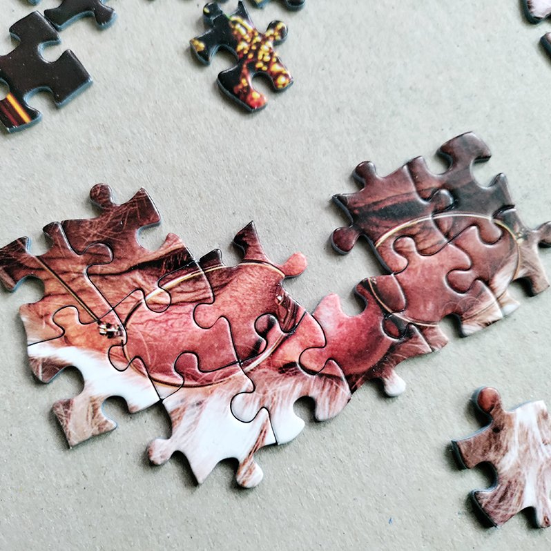 Puzzle 1000 Elementów Swiety Mikolaj W Swoim Domu