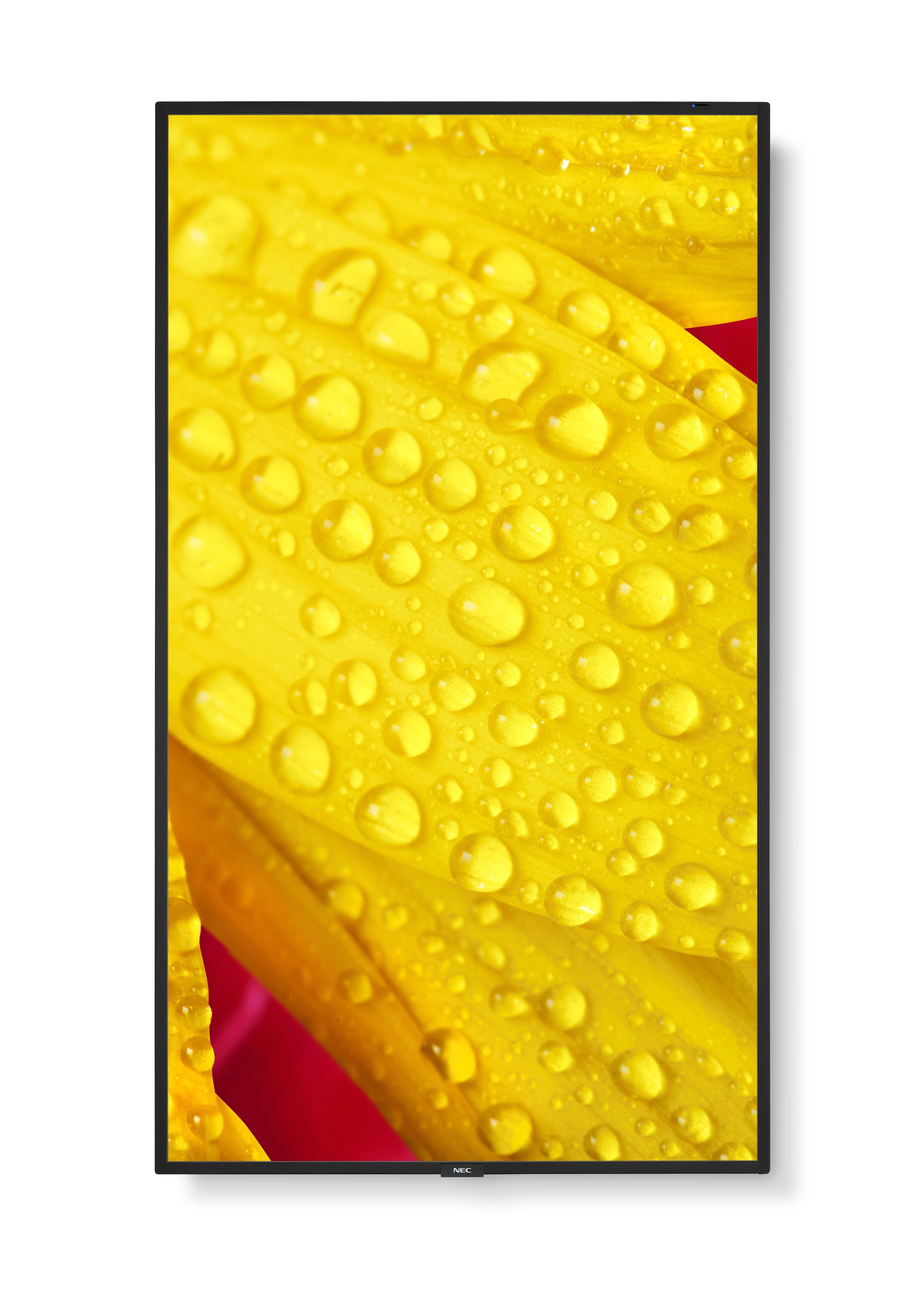 M501-2, 50" M-Series, Lfd, Uhd 3840x2160, 500cd/M2,