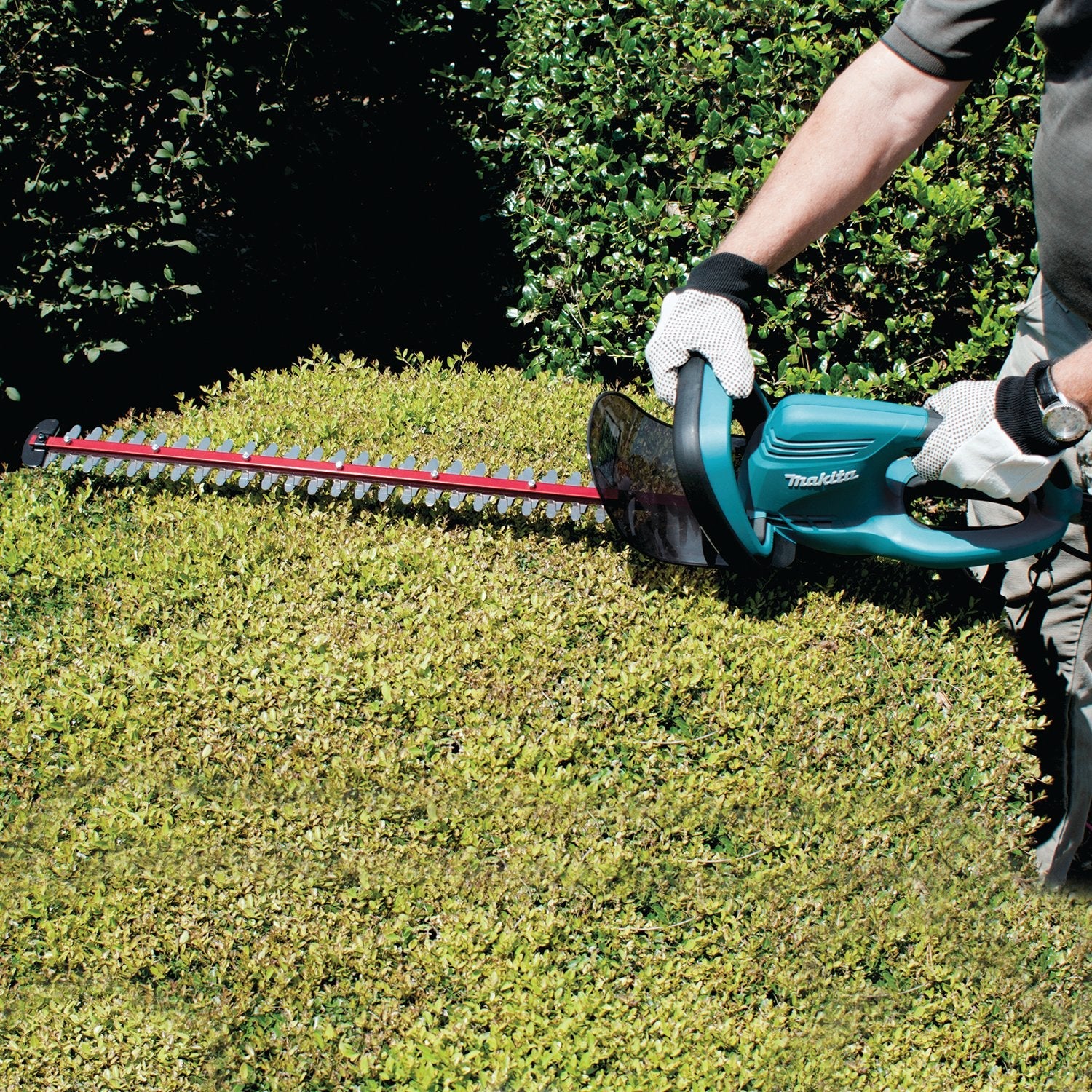 Makita Uh6570 Corta-Setos Eléctrico Cuchilla Doble 550 W 3,8 Kg