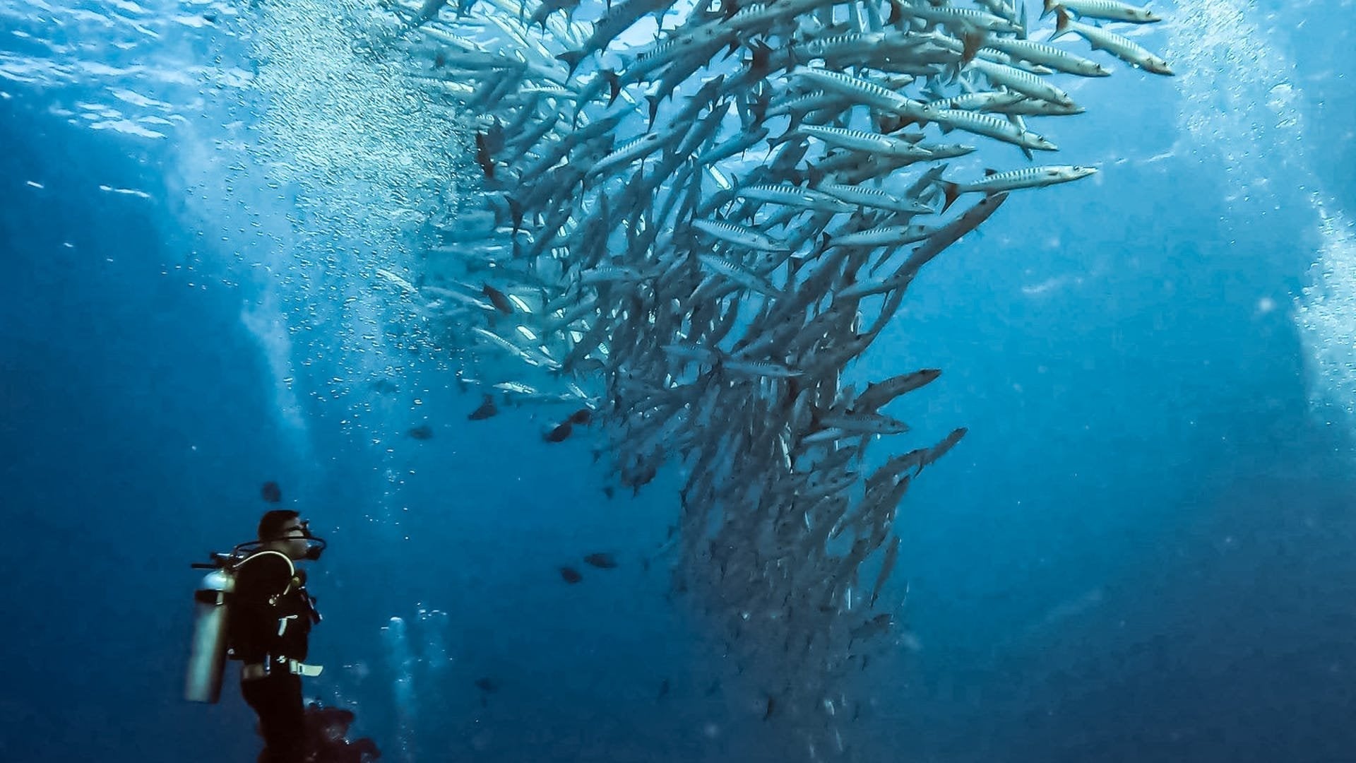 EAN 0818279025354 - GoPro ADDIV-001 accesorio para cámara de deportes de acción Carcasa para cámara imagen 7