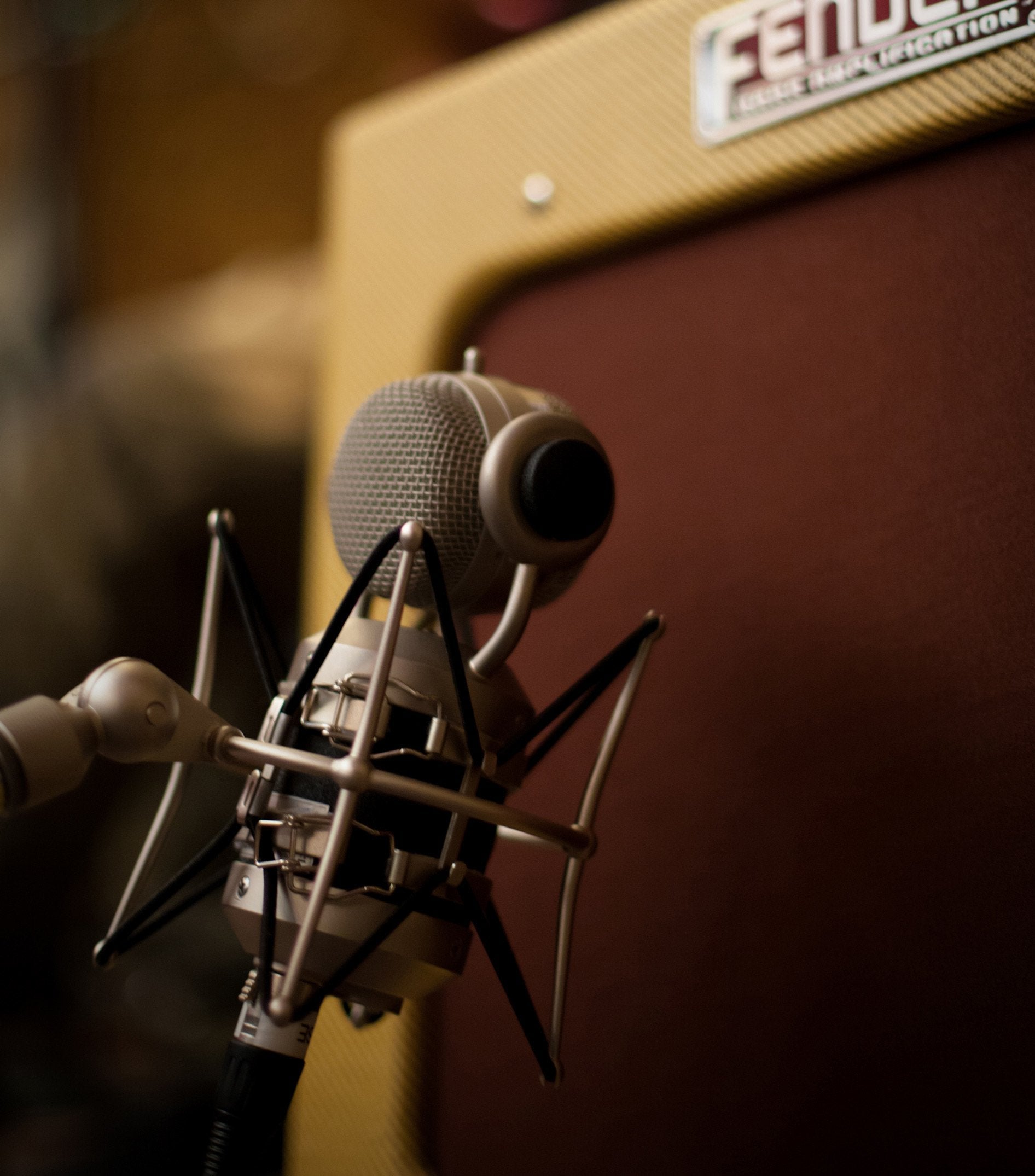 Micrófono Blue Microphones Mouse Negro De Estudio