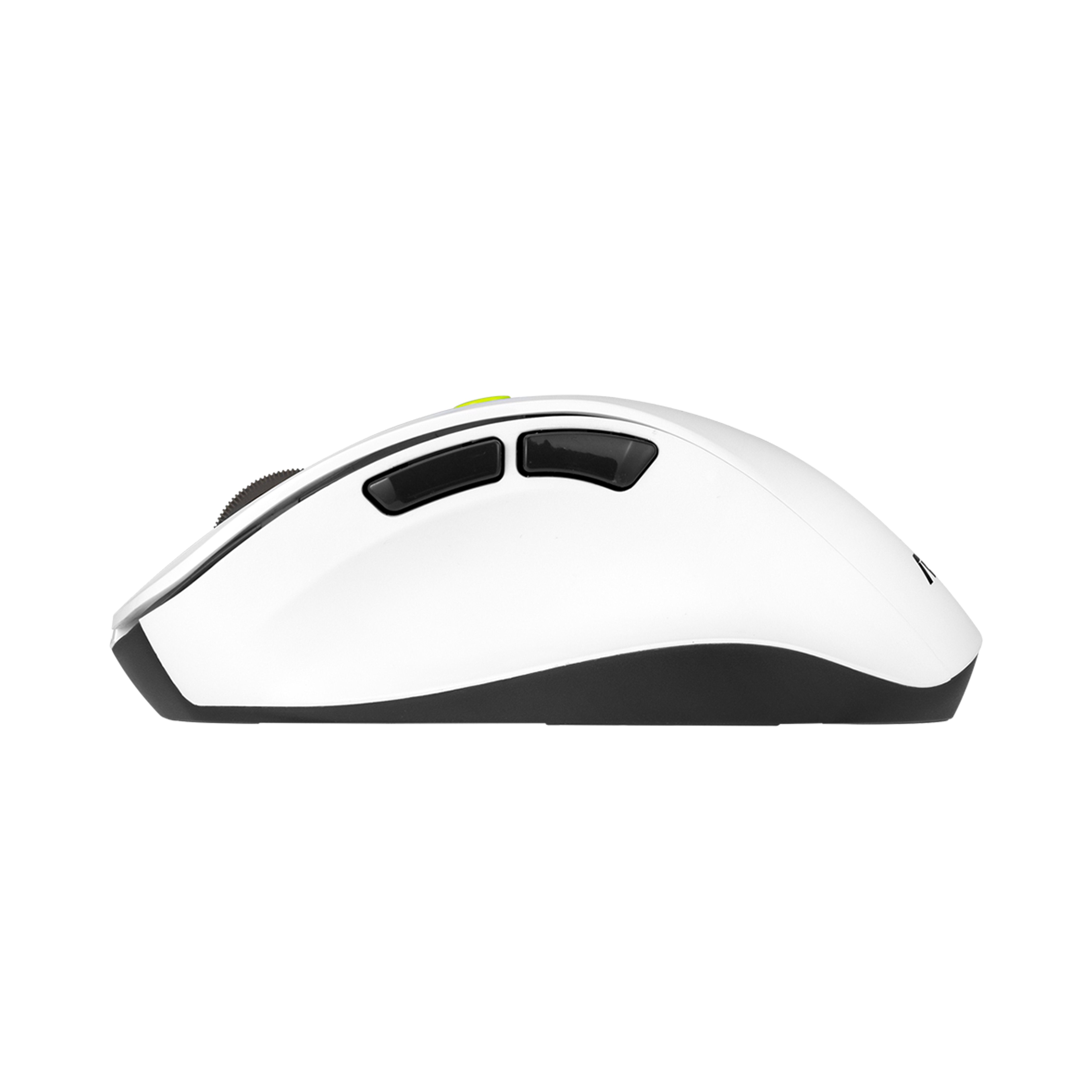 Raton Asus Md105 Wireless 2400dpi Volt Verde