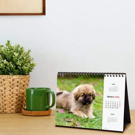 EAN 8422952402275 - Finocam 780323726 calendario Mesa imagen 3
