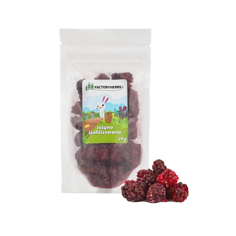 Factory Herbs Freeze-Dried Blackberry - Golosina Para Roedores Y Conejos - 20g