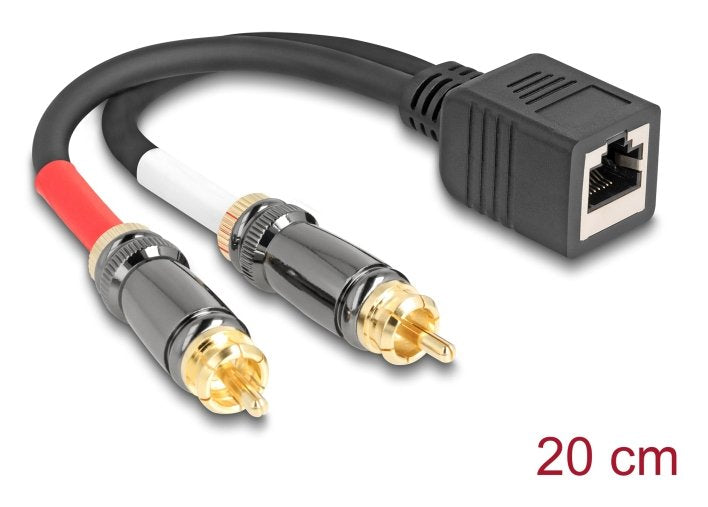 Delock Adaptercable Rj45 Buchse Zu 2 X Cinch Stecker Schwarz 20 Cm