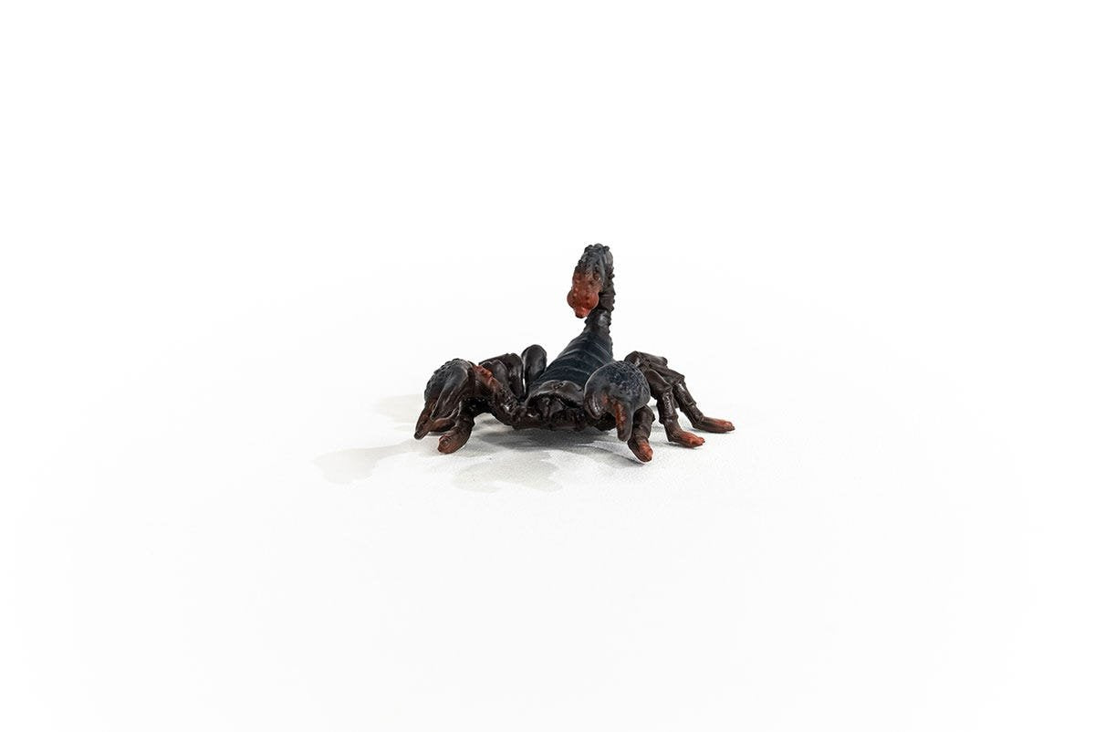 EAN 4059433364902 - schleich Vida Salvaje 14857 figura de juguete para niños imagen 6