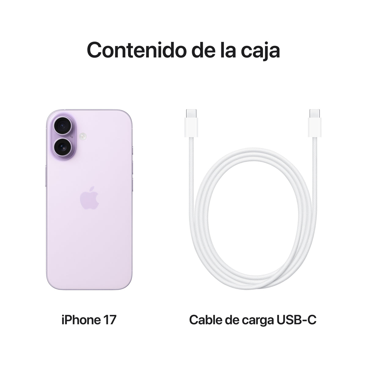 EAN 0195950644104 - Apple iPhone 17 16 cm (6.3") SIM doble iOS 26 5G USB Tipo C 256 GB Lavanda imagen 8