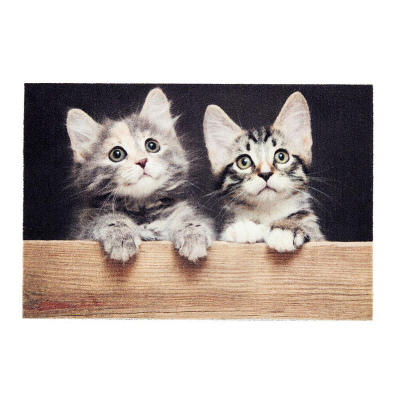 Felpudo De Interior, Deco Print, 100% Poliamida, 40 X 60cm, Diseño Gatos