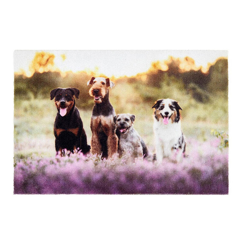 Felpudo De Interior, Deco Print, 100% Poliamida, 40 X 60cm, Diseño Grupo Perro