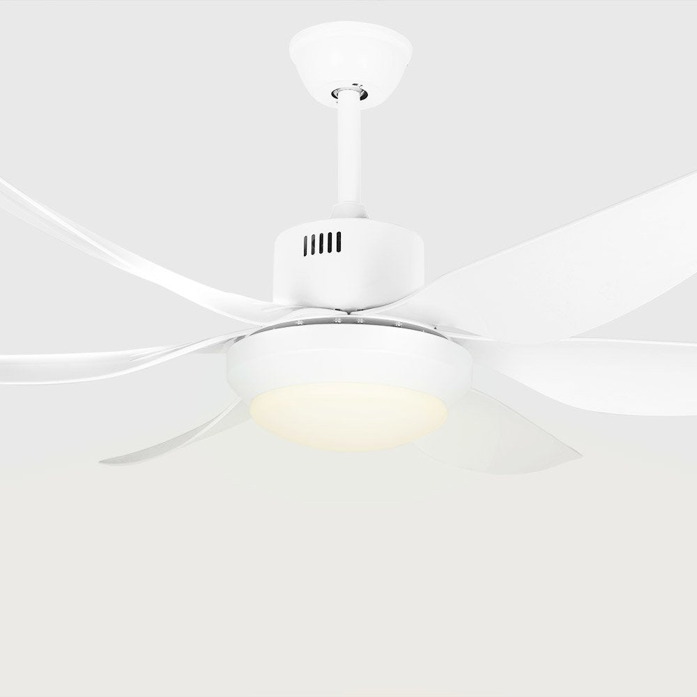 Ventilador De Techo Orbegozo Cp 100138 50w 6 Aspas 138cm 5 Velocidades