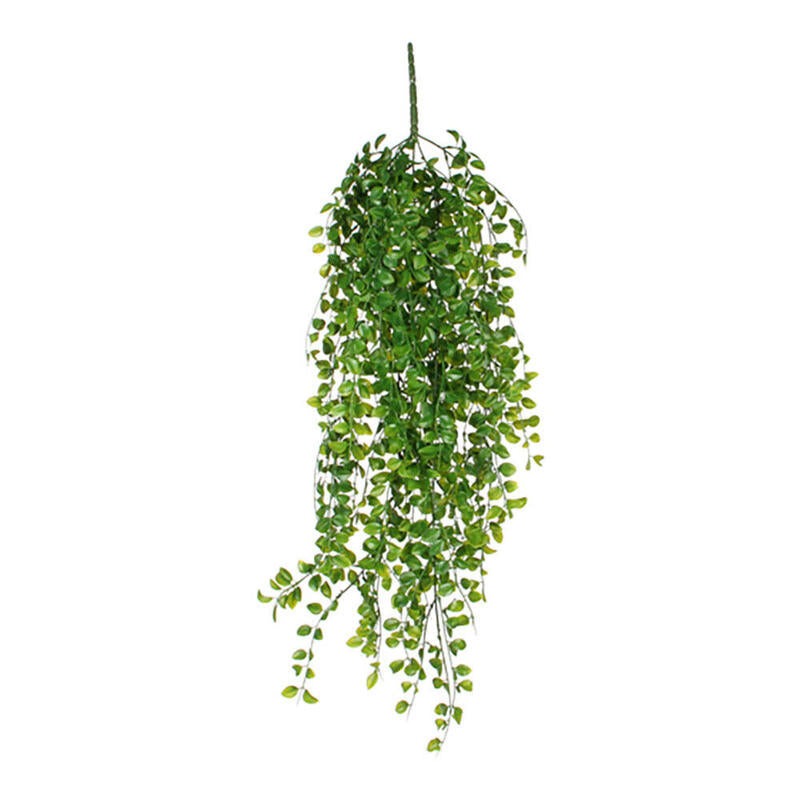 Ficus Colgante Color Verde 81cm