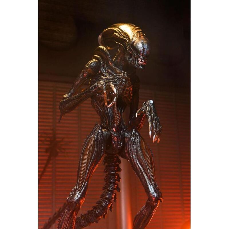 Figura Ultimate Scorched Xenomorph Scale Action Fig. 23 Cm Alien: Romulus