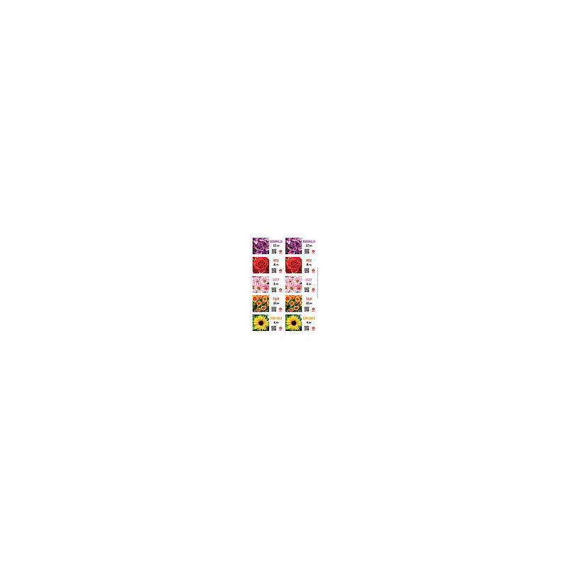 Floralabels Etiqueta Autoadhesiva 97,5 X 57 Mm, 10 Por Hoja Okimed31