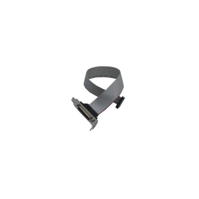 Fts/ Asus/Intel/Giga Mbzu Parall. Kabel Lp