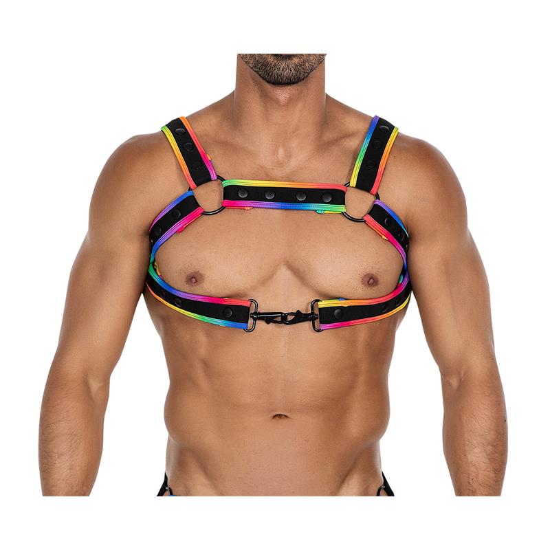 Arnés H4rness05 De Pecho Neon Multicolor Talla Única