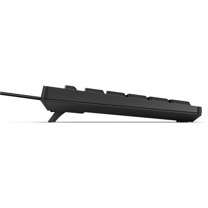 Hp 125 Usb Wd Kbd (Bulk 12) Teclado Universal Qwerty Inglés Negro
