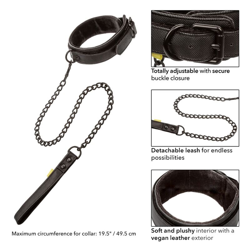 Collar Y Correa Sin Límites - Negro
