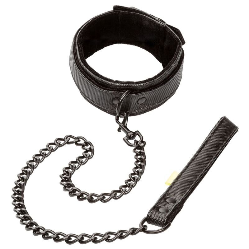 Collar Y Correa Sin Límites - Negro