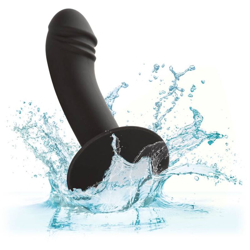 Calexotics - Curved Anal Stud