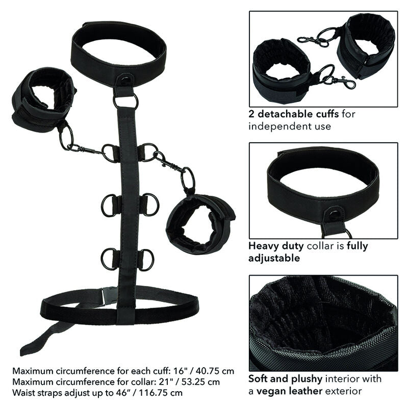 Boundless Arnés De Restricción