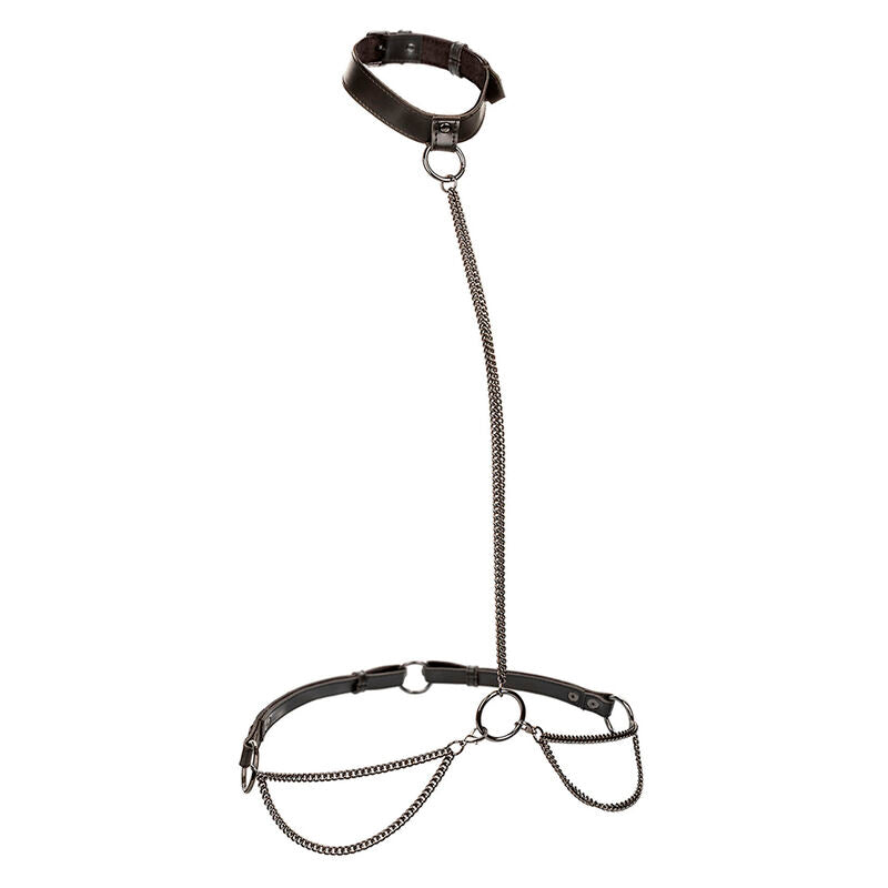 Calexotics - Euphoria Collar Halter Y Correa Con Cadena Talla Plus