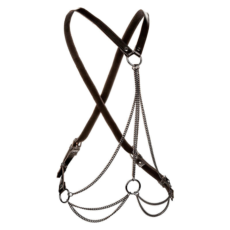 Calexotics - Euphoria Arnés De Múltiples Cadenas Premium Talla Plus