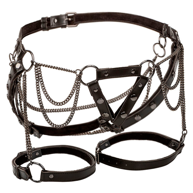 Calexotics - Euphoria Arnés De Muslo Con Cadenas Premium