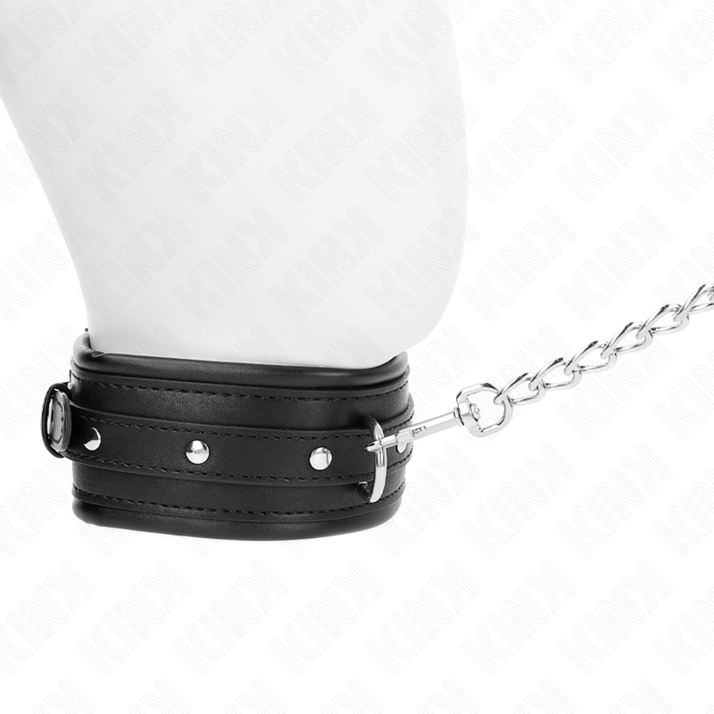 Kink - Collar Con Correa 65 Cm Hebilla Brillante 48.5 Cm X 5.3 Cm