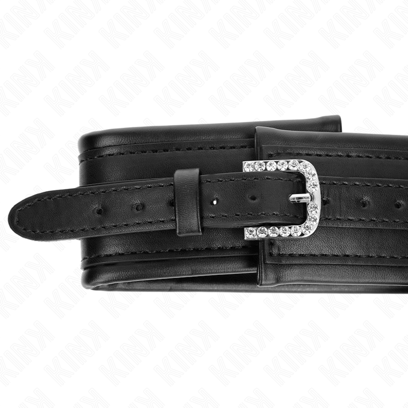 Kink - Collar Con Correa 65 Cm Hebilla Brillante 48.5 Cm X 5.3 Cm